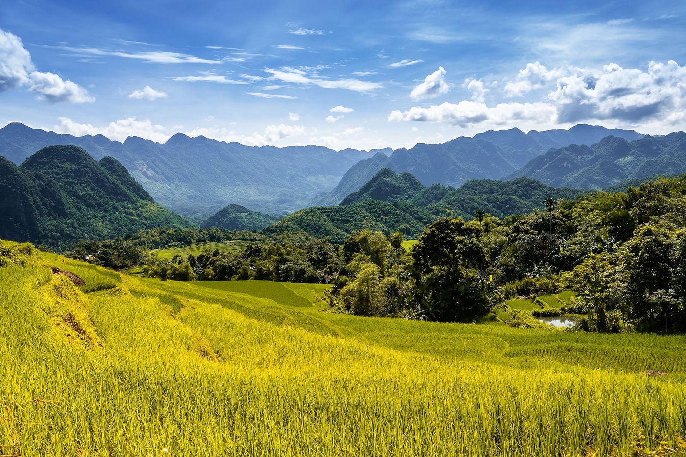 Vietnam Pu Luong
