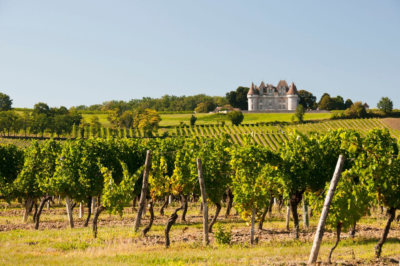 Vigne et château de Monbazillac