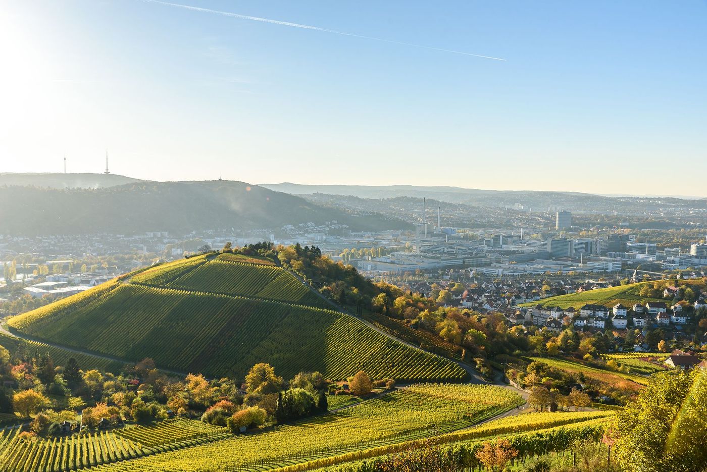 Vignes de Stuttgart