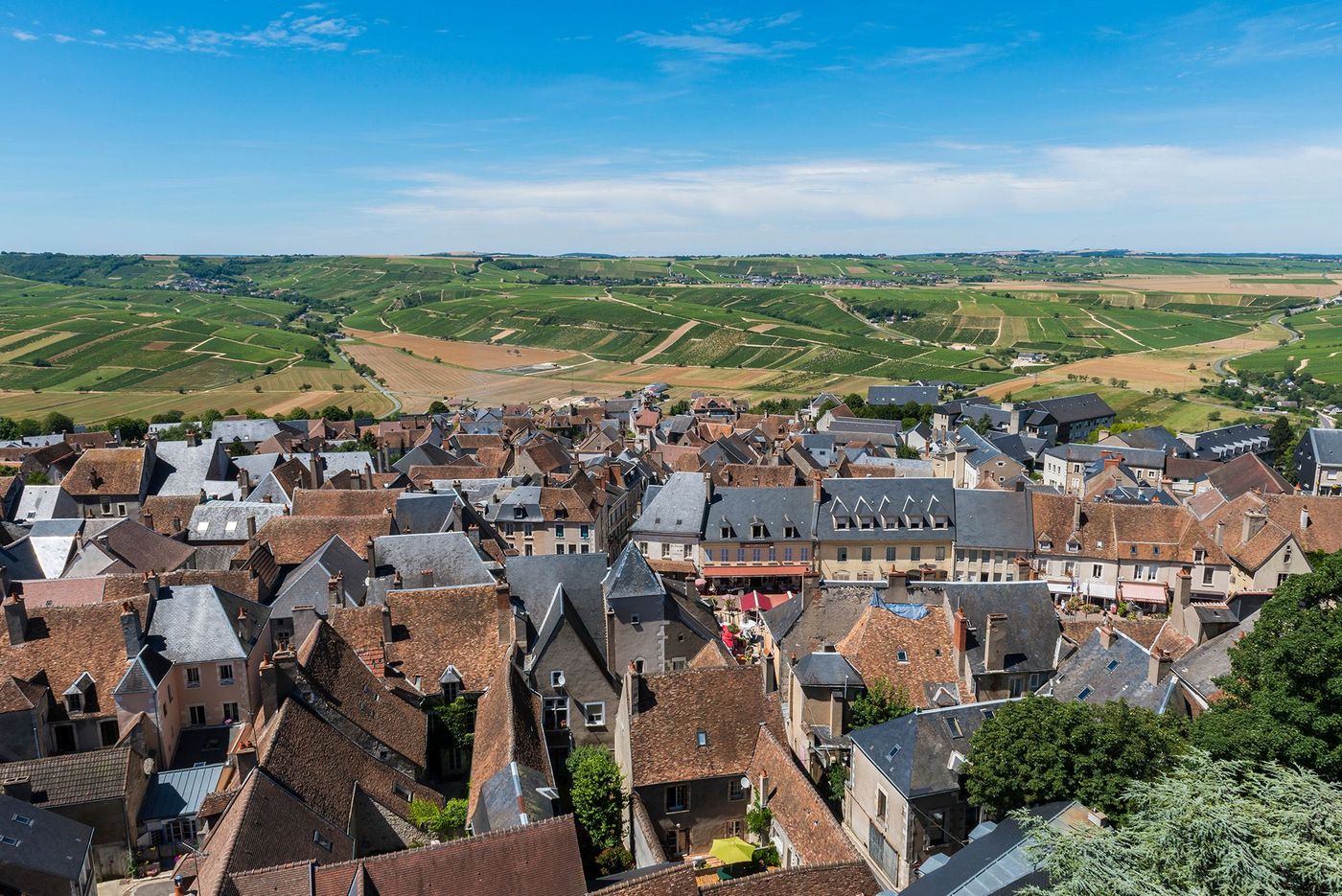 Vignes et village de Sancerre