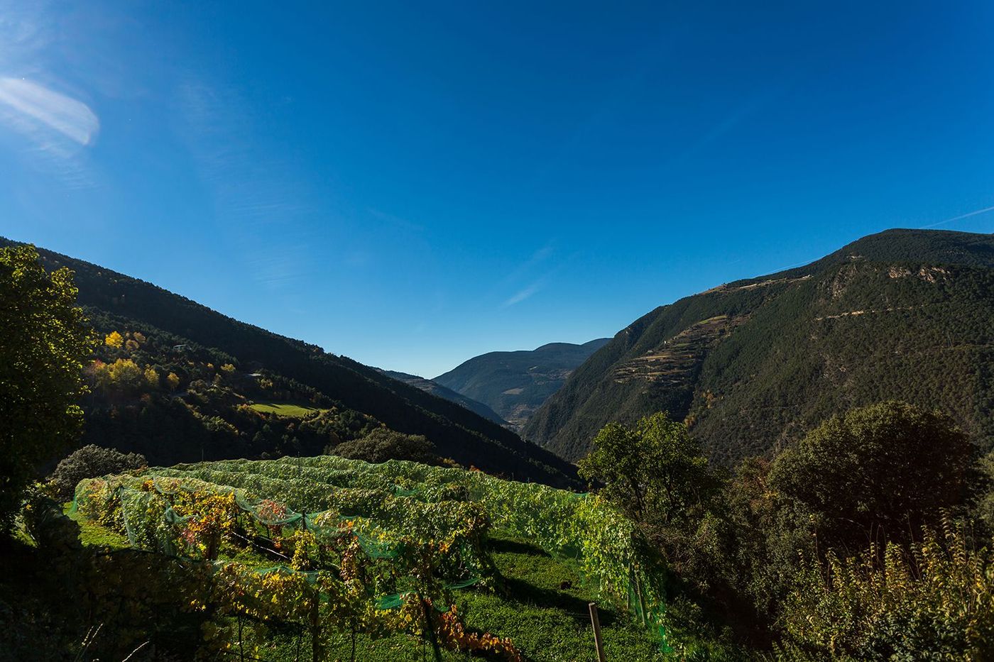 Andorre