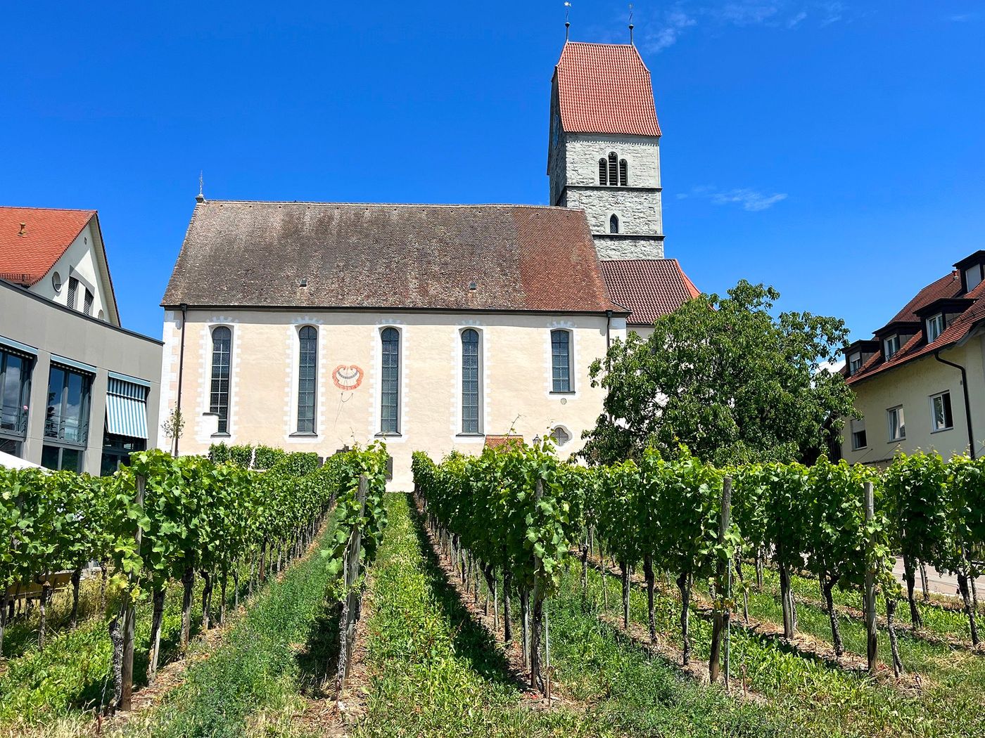 vignoble d’Hagnau