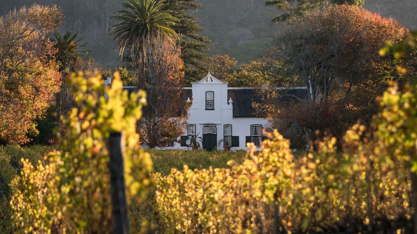 Vignoble Route Vins Afrique du Sud