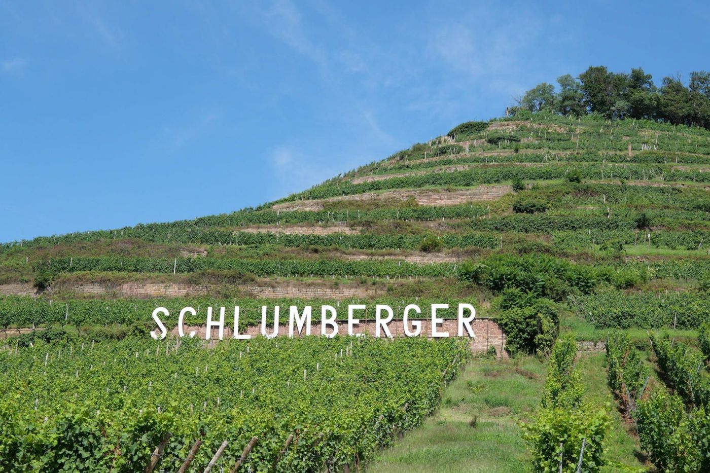 Vignoble Schlumberger