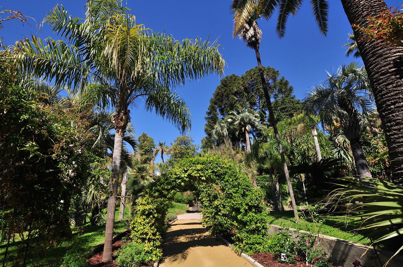 Côte d'Azur Jardin Villa rothschild