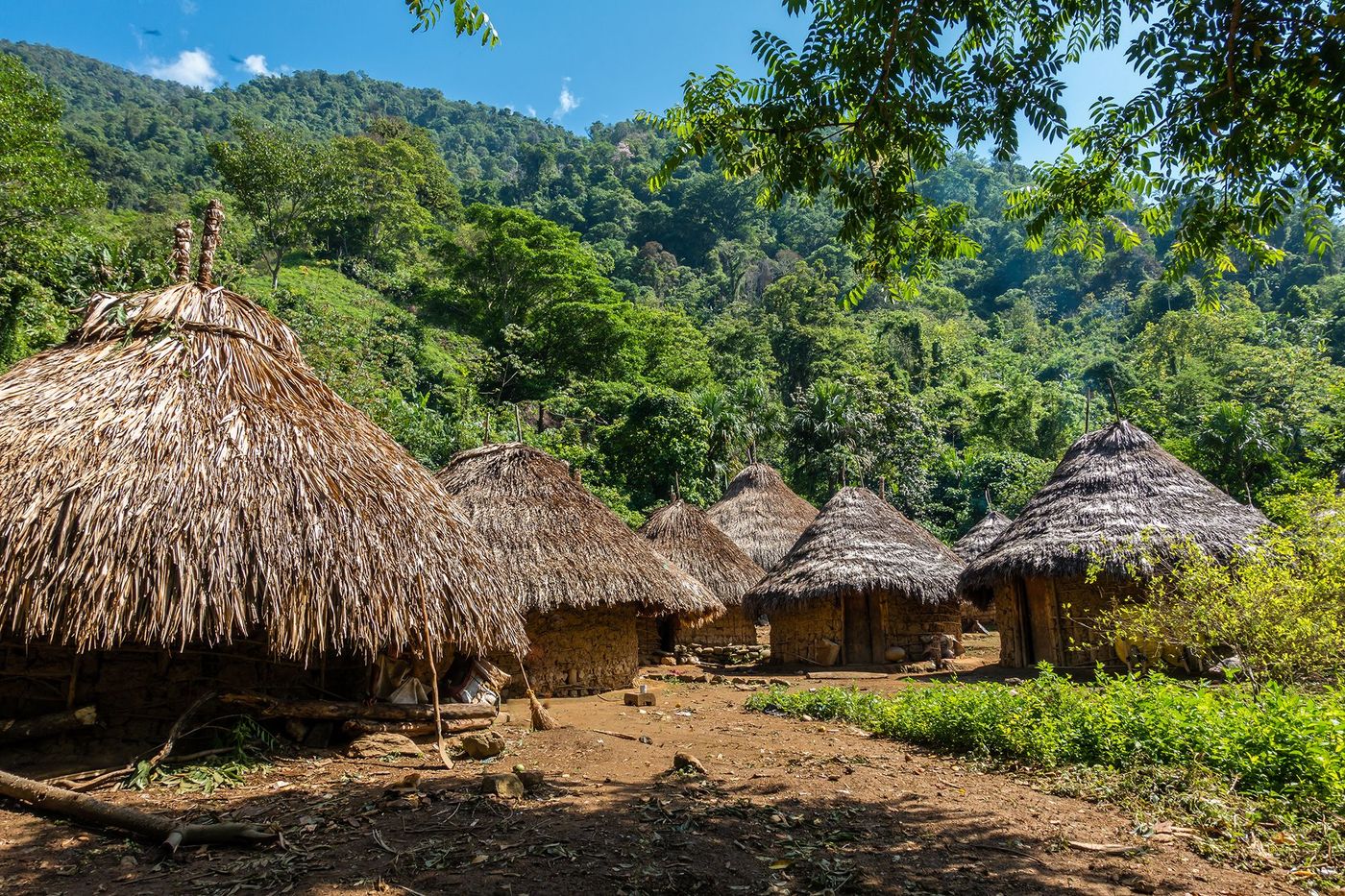 Village Kogis