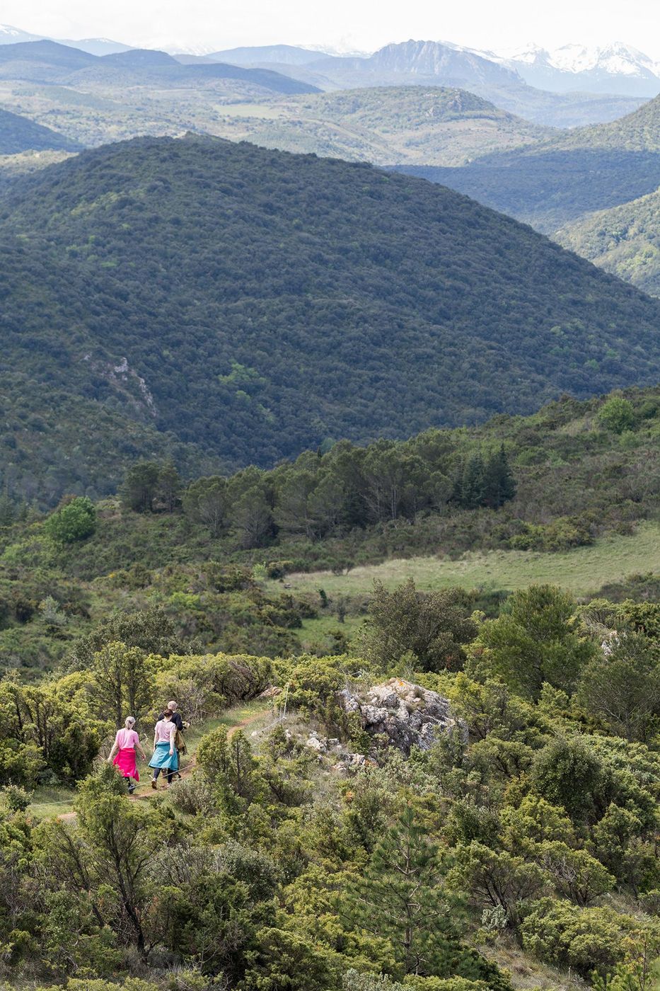 Randonnée dans la garrigue. Sentier de randonnée « Bâtons la campagne » à Villerouge-Termenès