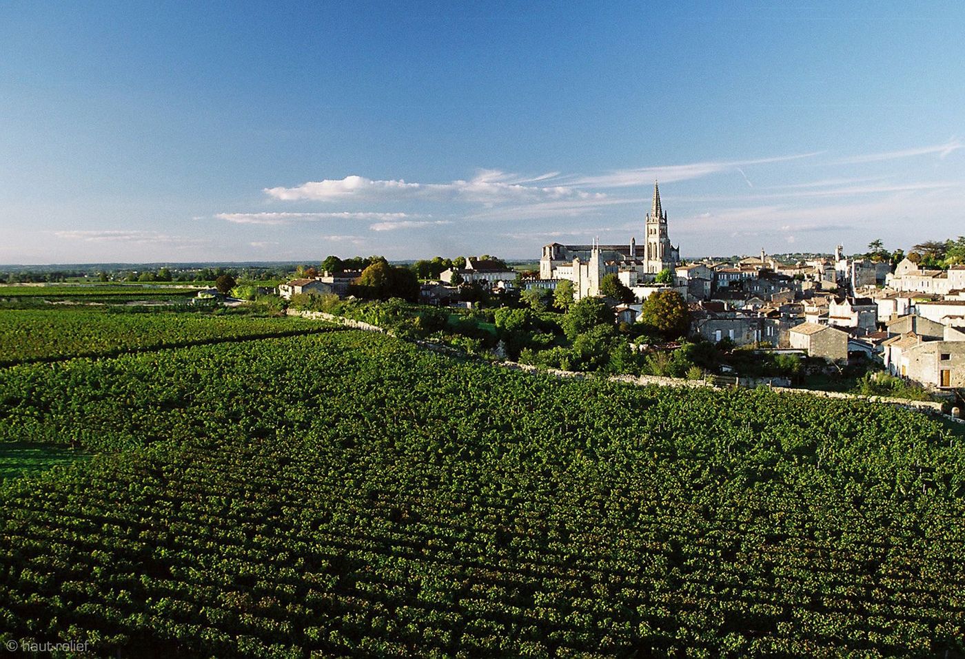 Bordeaux Vignes