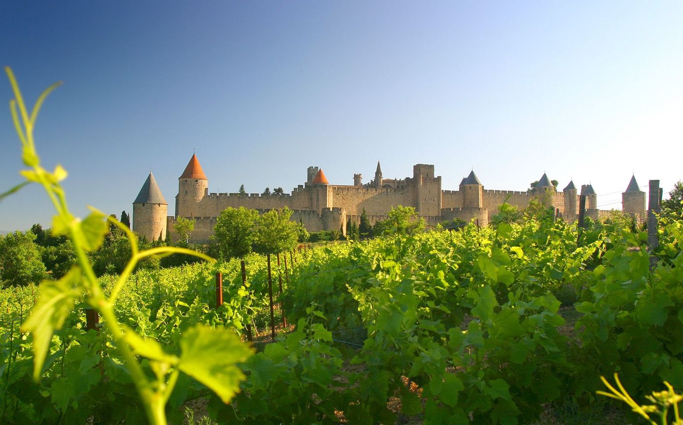 Languedoc Carcassonne Vignes