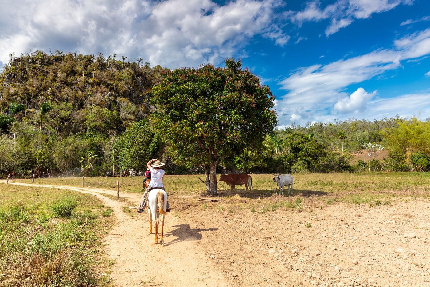 Cuba Vallée de Vinales