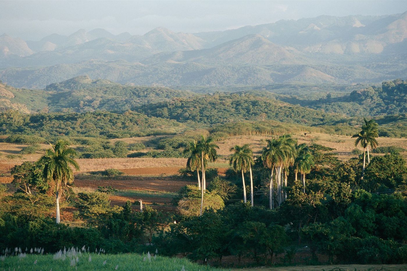 Vinales
