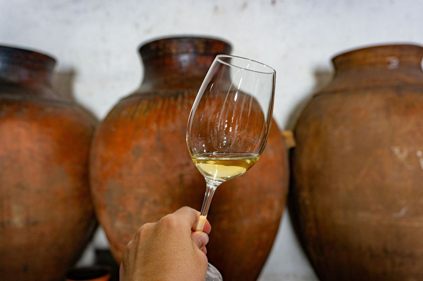 Vinhos de talha