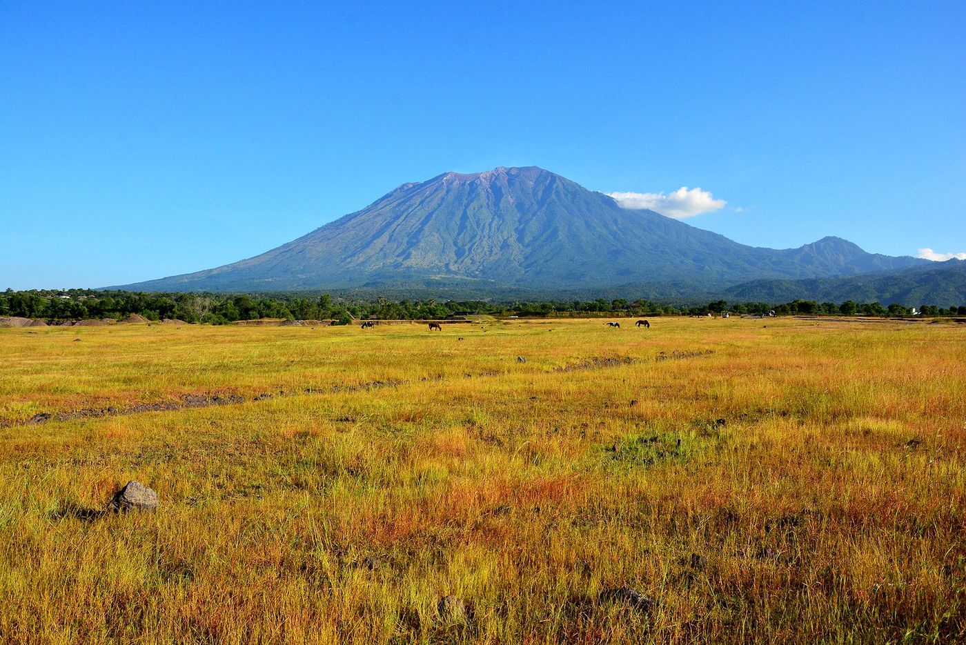 Volcan Batur