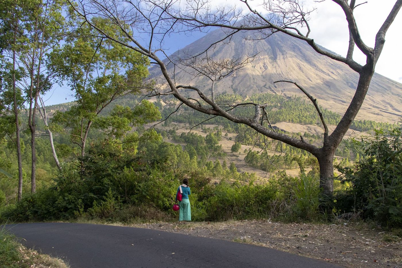 Volcan Inerie