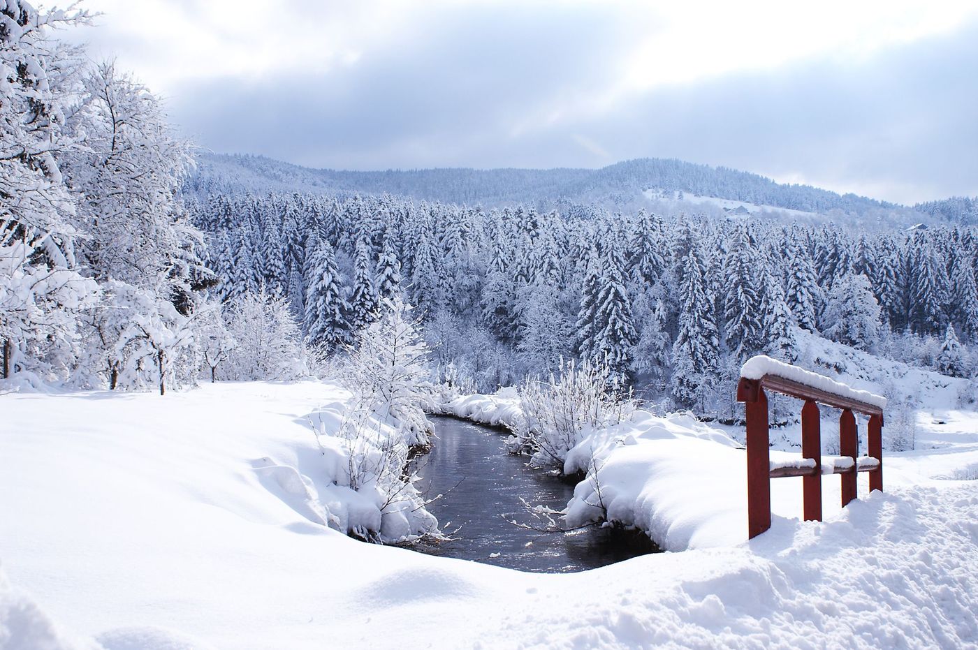 Vosges Neige France
