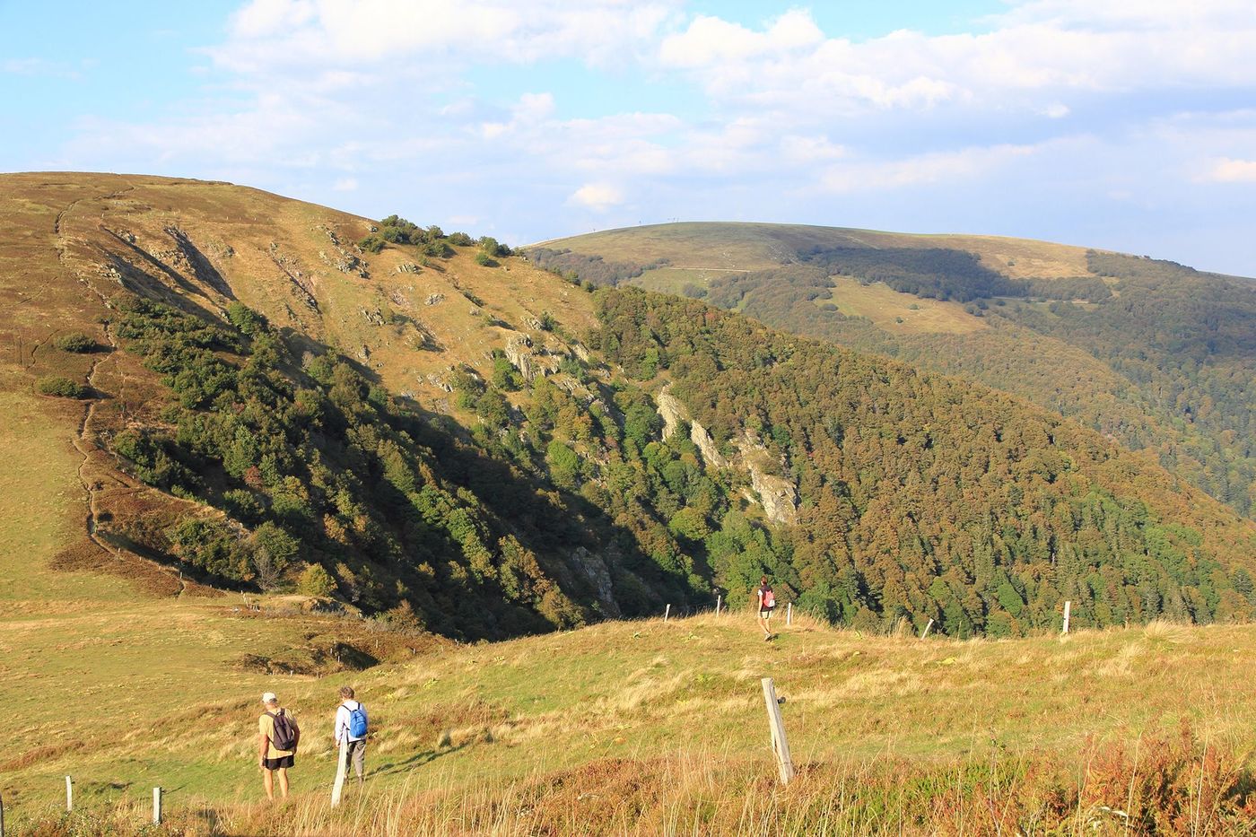Vosges Vallée de Munster