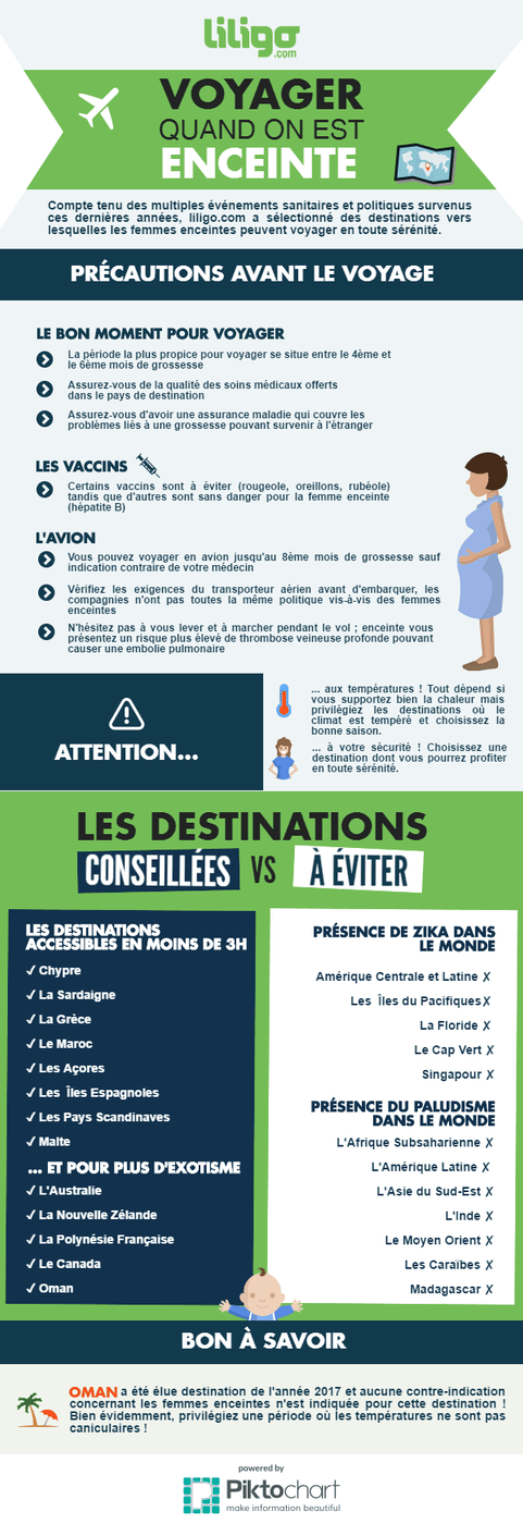 Infographie Voyager enceinte