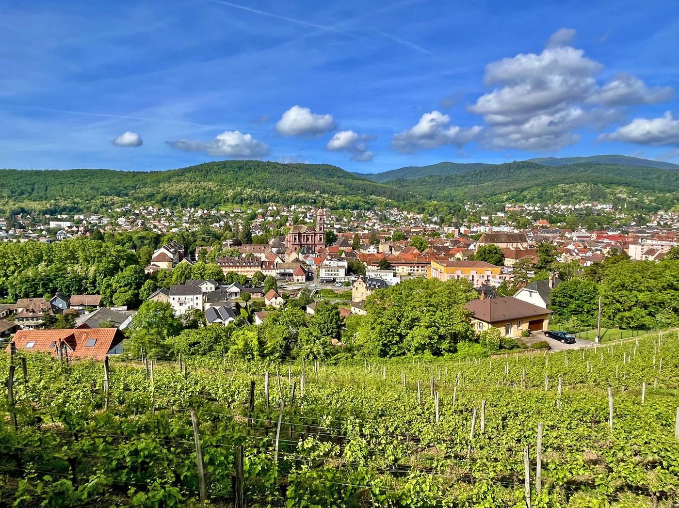 Vue sur Guebwiller