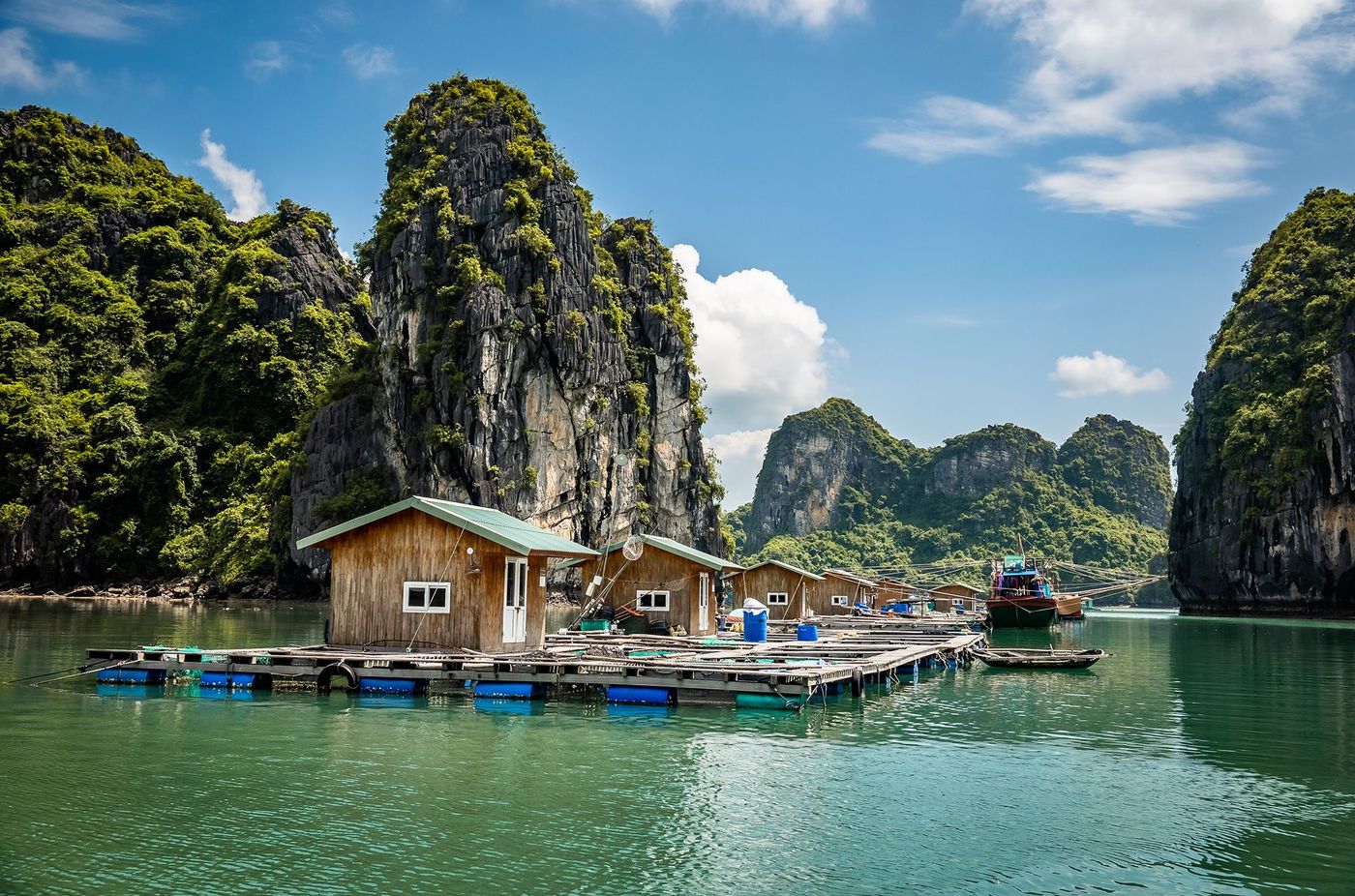 Vung Vieng