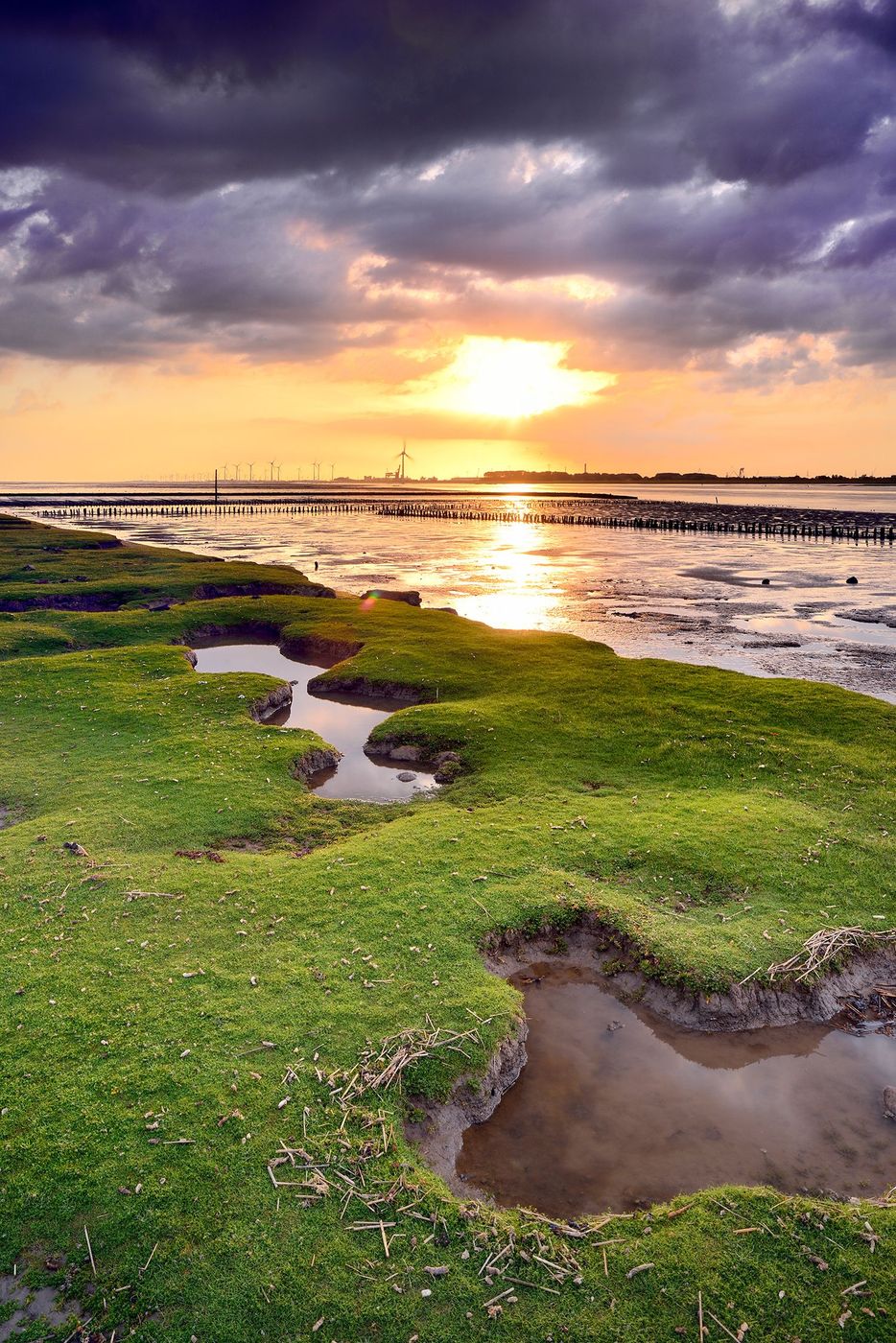 La mer des Wadden