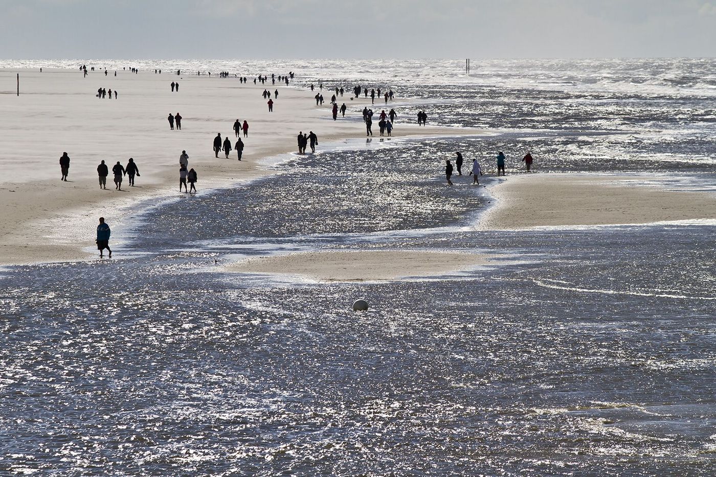 Allemagne Mer des Wadden