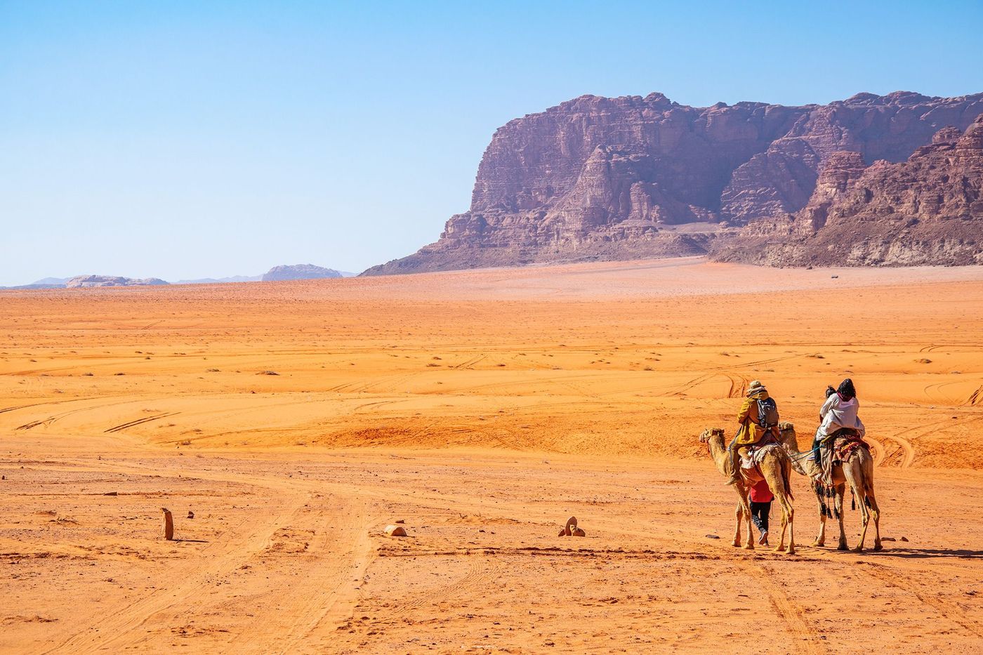 Wadi Rum Dromadaire