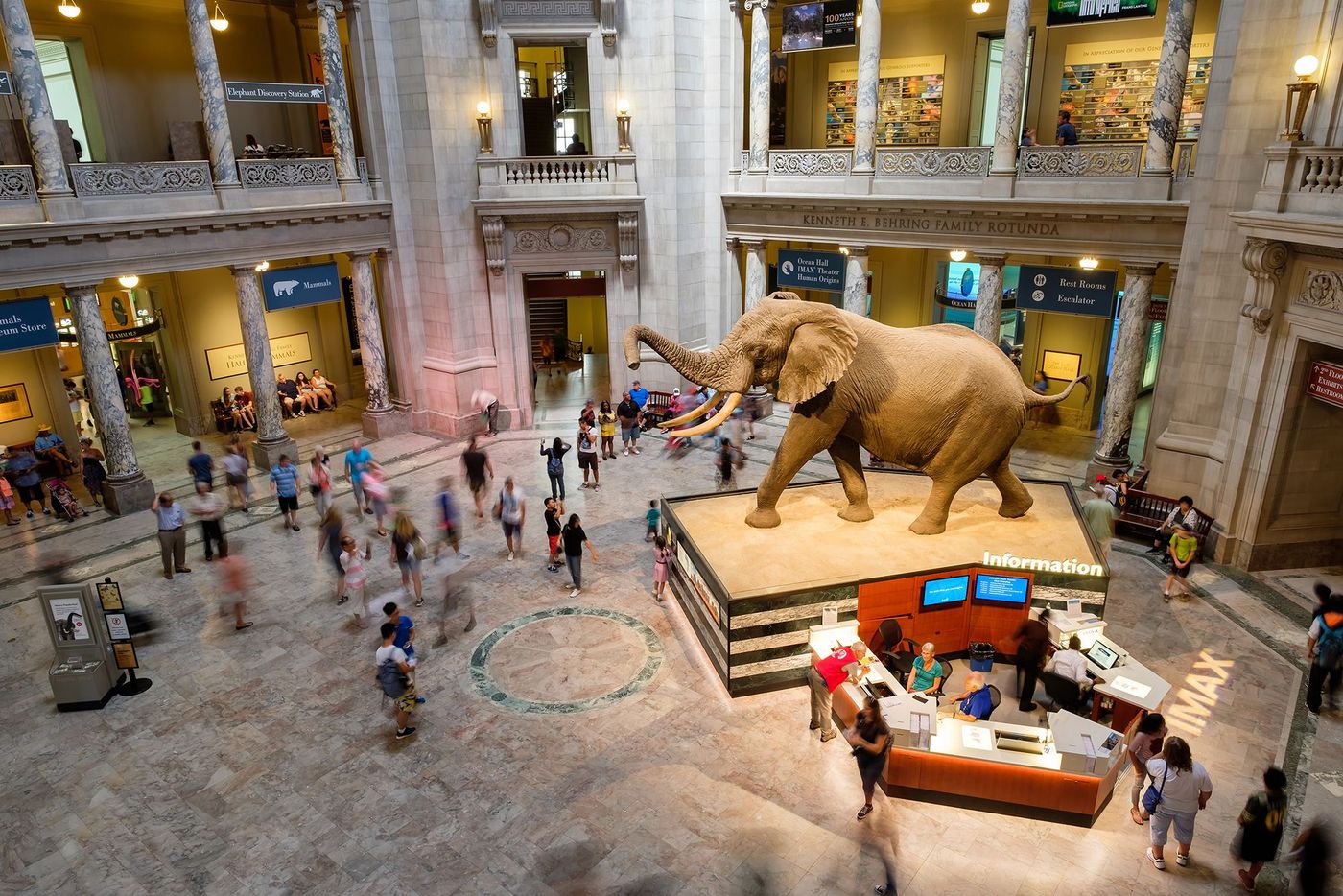 Washington National Museum Natural History