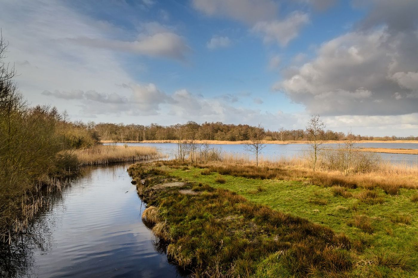 Pays-Bas Parc national Weerribben-Wieden