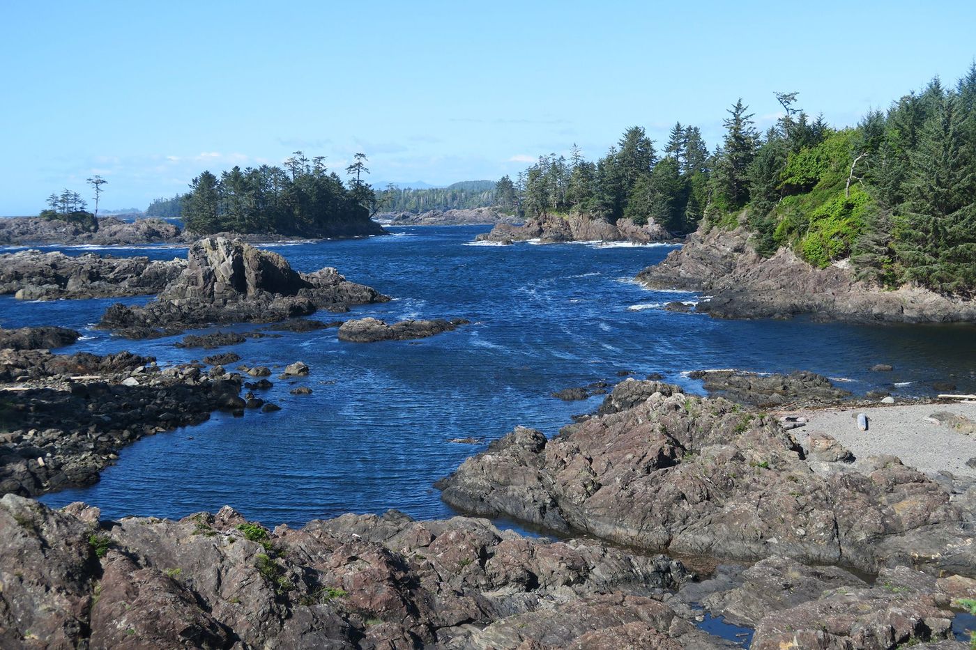 Wild Pacific Trail