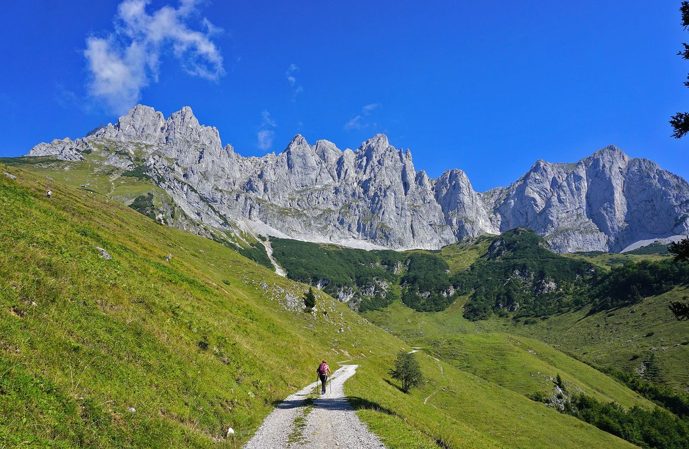 Wilder Kaiser