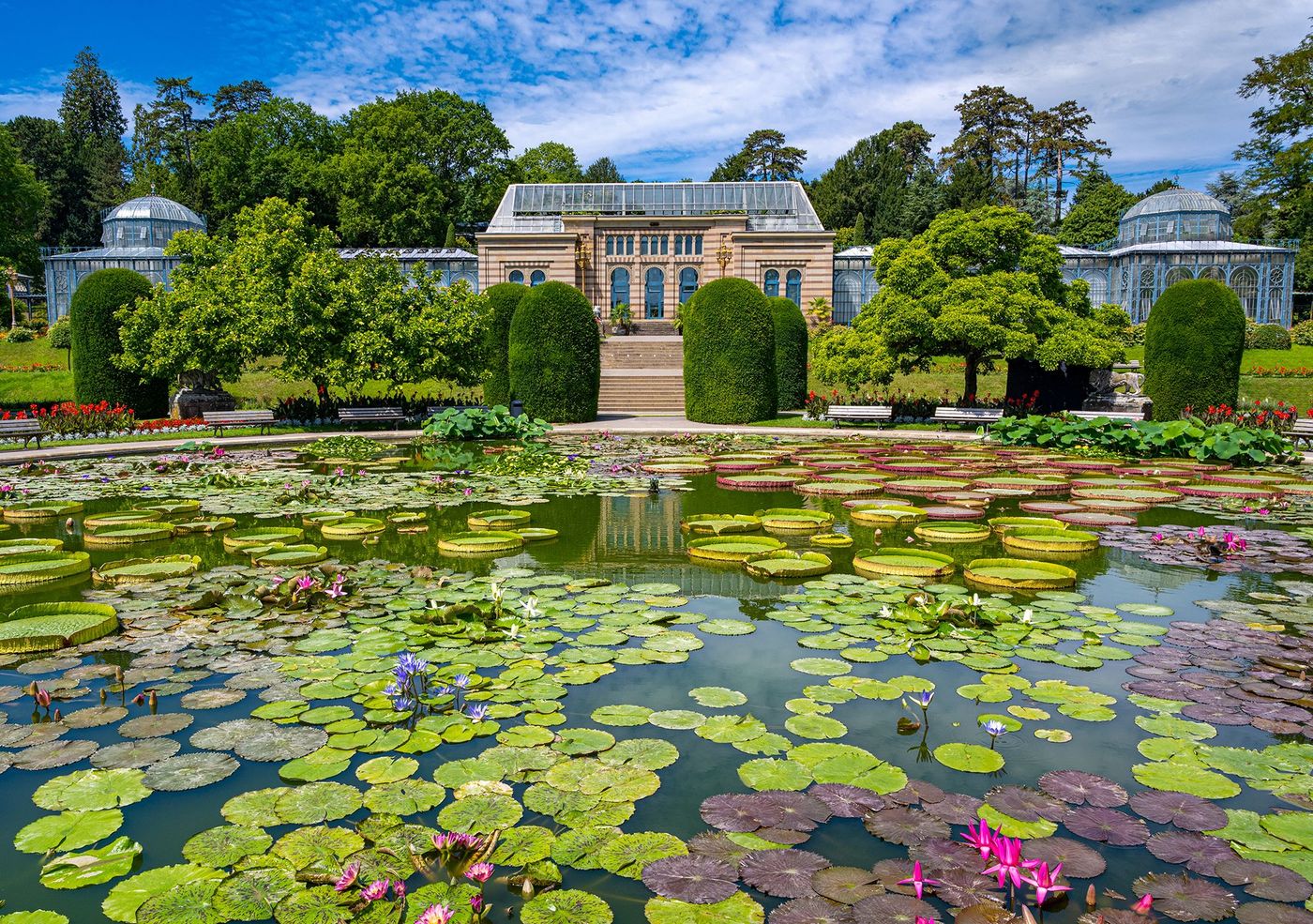 Wilhelma - Stuttgart