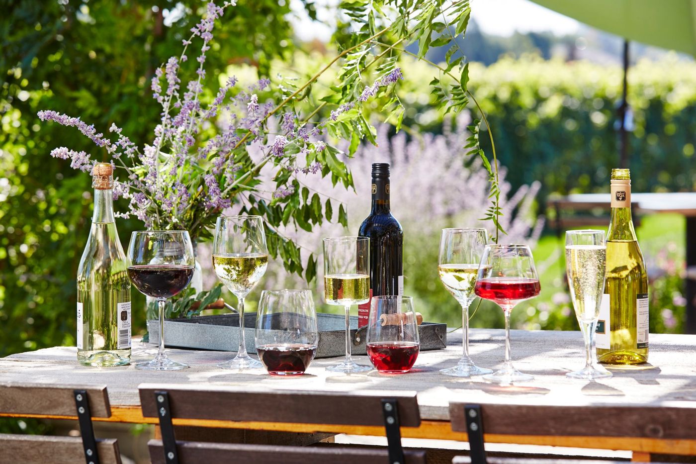 Wines Ontario Canada