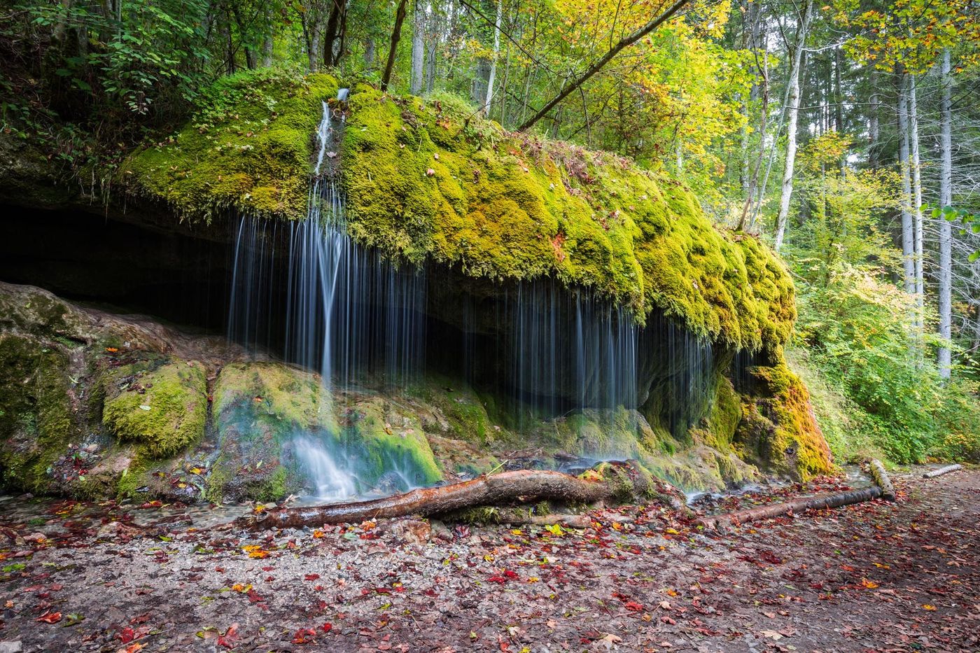 Wutach Vallée Allemagne