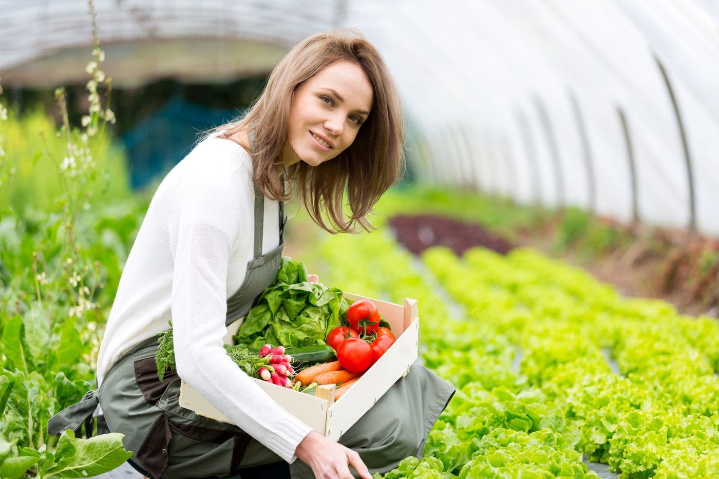 Wwoofing Femme Légumes