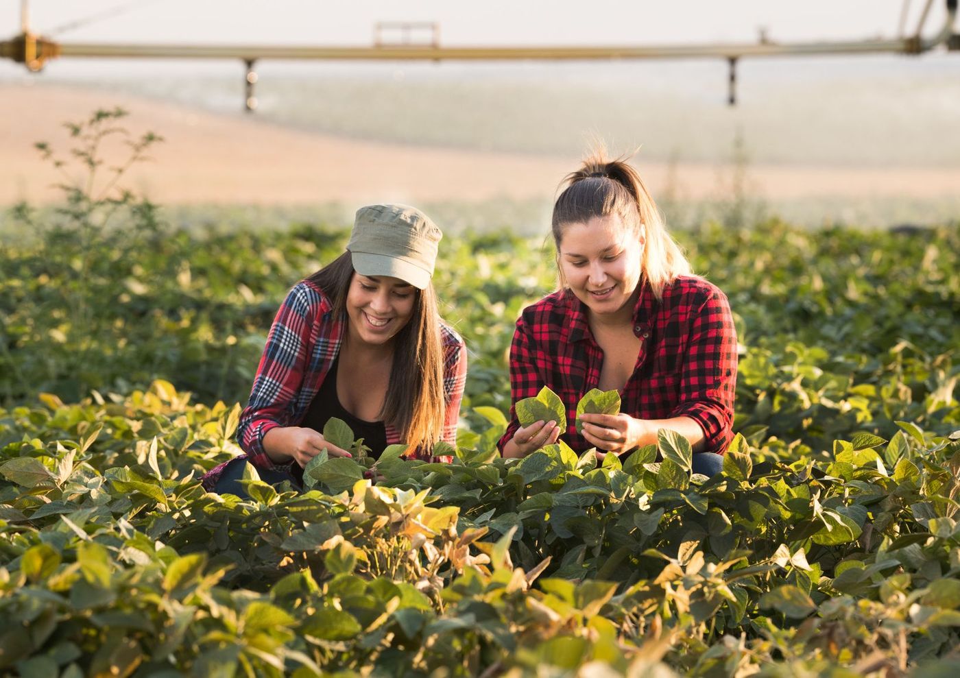 Wwoofing Jeunes femmes Ferme