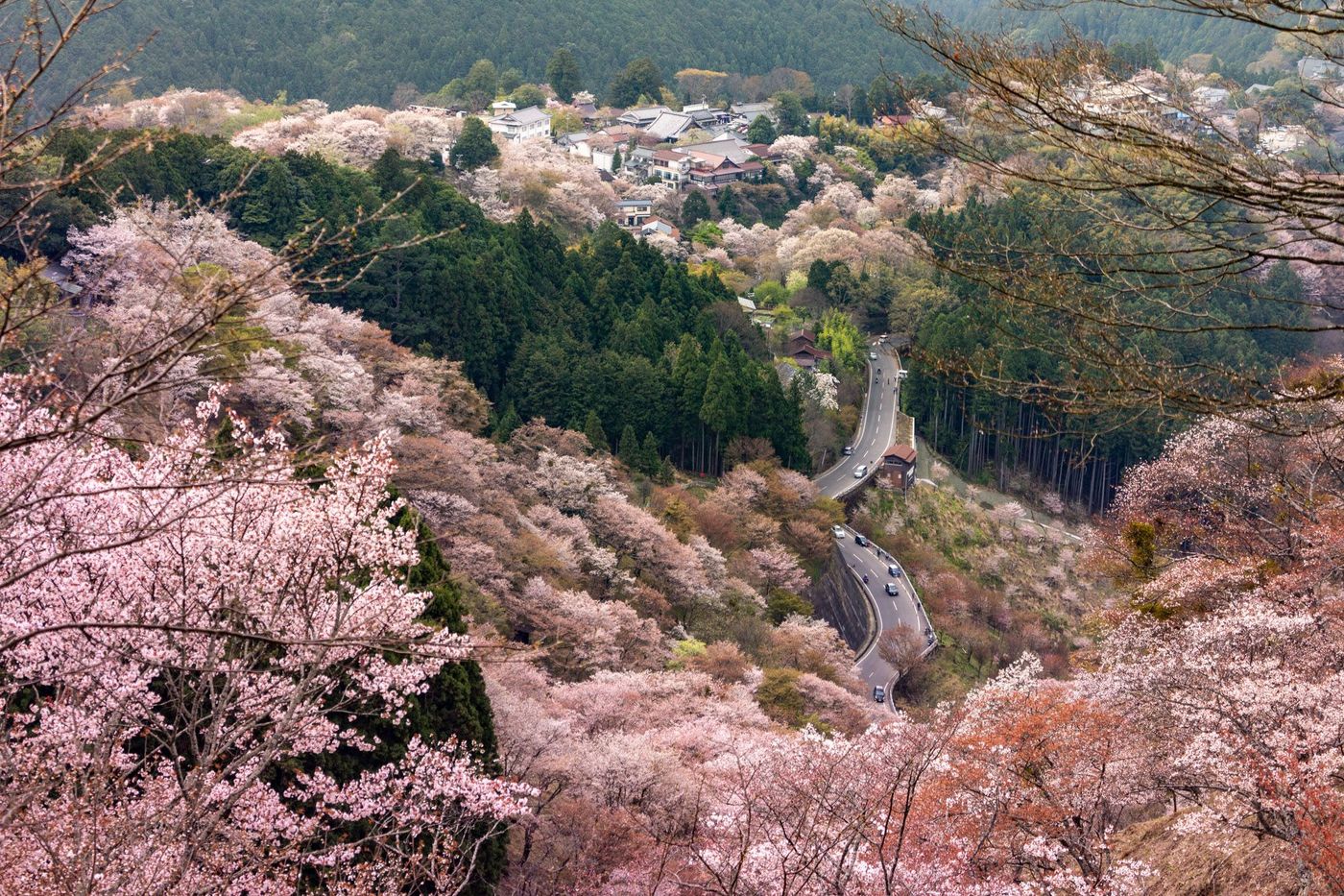 Yoshinoyama