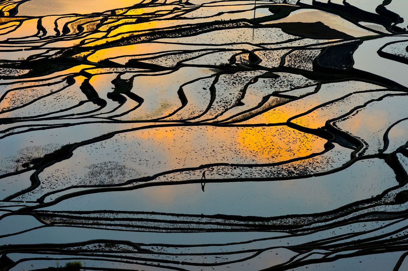 Chine Rizières de Yuanyang