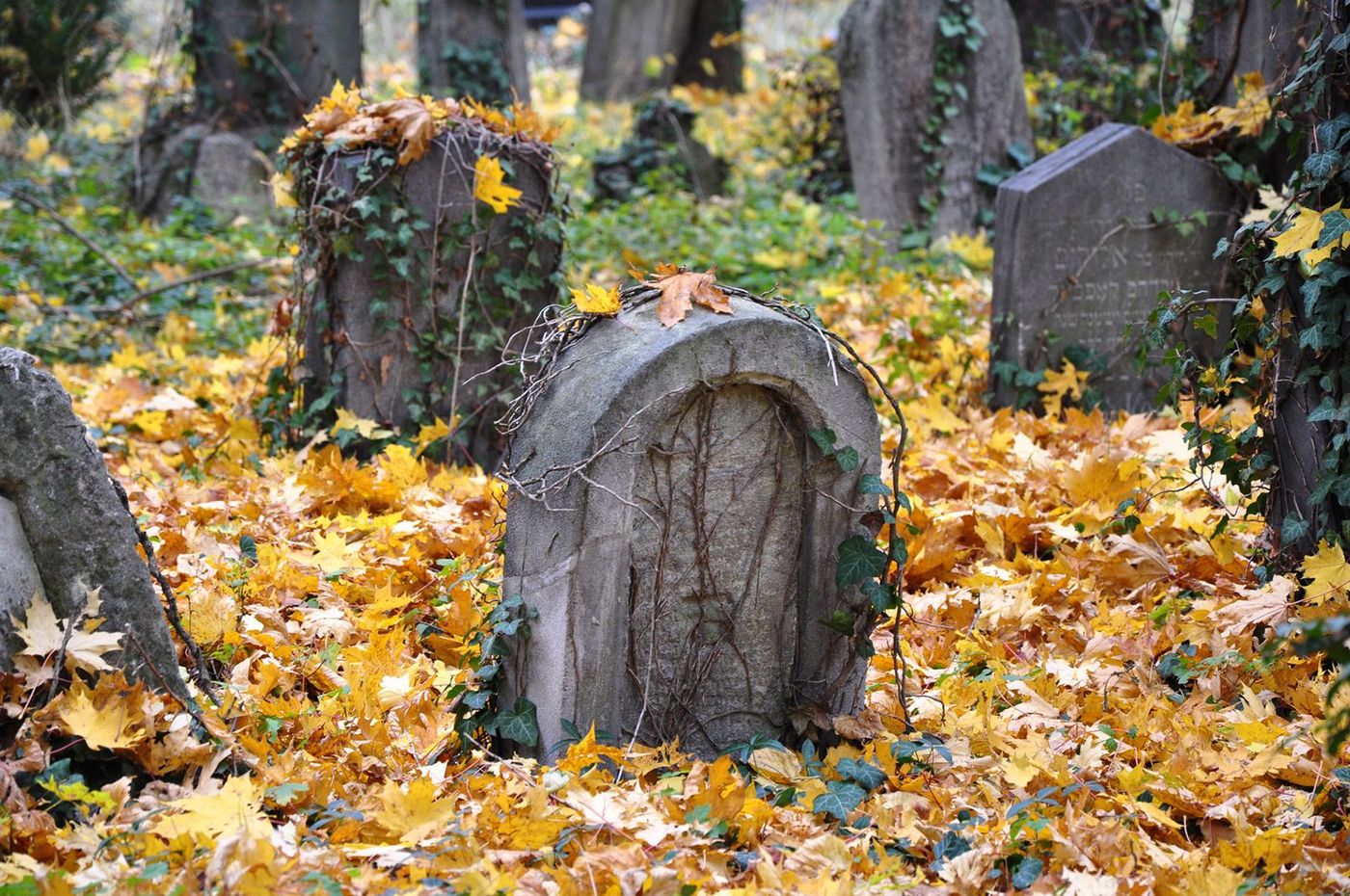 Autriche Vienne Zentralfriedhof