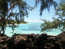 Ile aux Cerfs