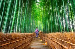 Arashiyama