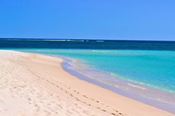 Ningaloo Reef