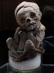 Pérou Momie Musée de Caraz