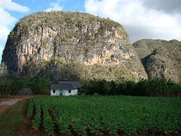 Cuba Vallée de Vinales