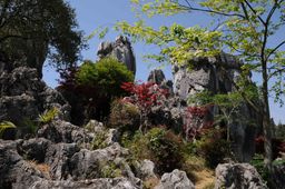 Shilin (Forêt de Pierres)