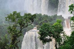 Chutes Iguazu