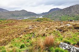 Irlande Ladies View