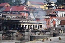 Népal Kathmandu Pashupatinath