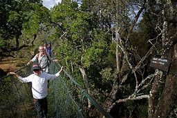 Kenya Ngare-Ndare Forest