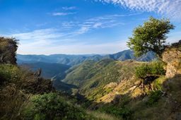 Cévennes