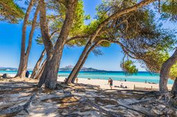 Alcúdia